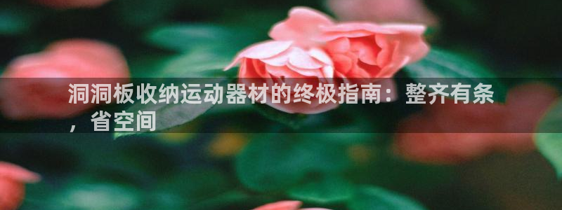 意昂3娱乐代理怎么样：洞洞板收纳运动器材的终极指南：