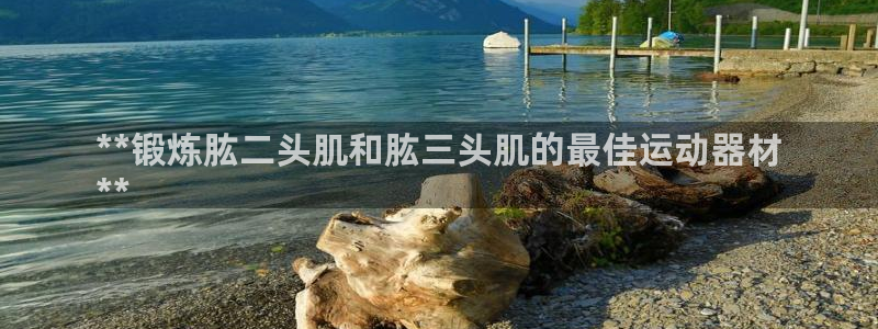 意昂3开户：**锻炼肱二头肌和肱三头肌的最佳运动器材