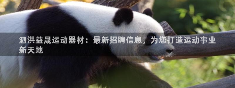 意昂体育3招商电话地址是多少：泗洪益晟运动器材：最新