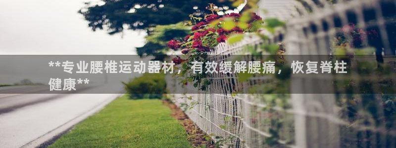 意昂3娱乐首页网站大全：**专业腰椎运动器材，有效缓
