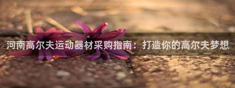 意昂3娱乐首页官网下载：河南高尔夫运动器材采购指南：