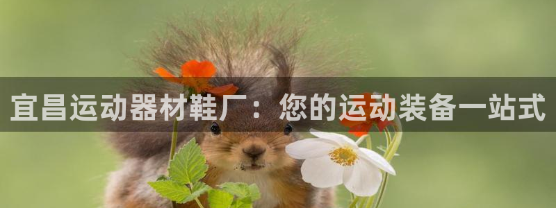意昂体育3平台注册要钱吗是真的吗：宜昌运动器材鞋厂：