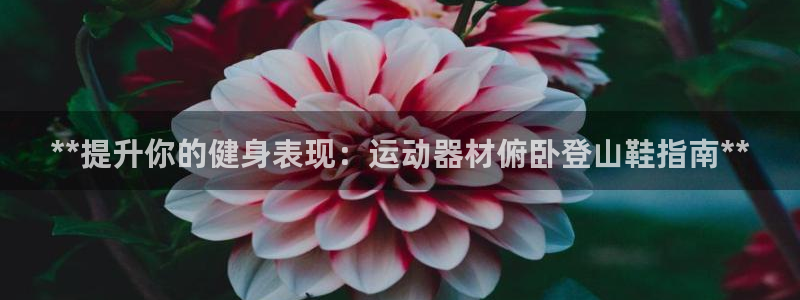 意昂体育3招商电话是多少号码：**提升你的健身表现：