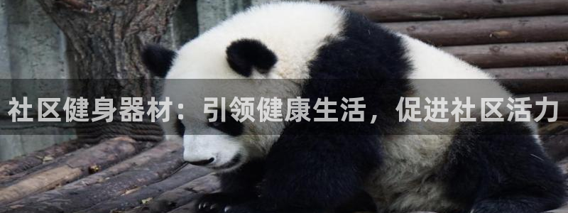 海南意昂体育3发展怎么样