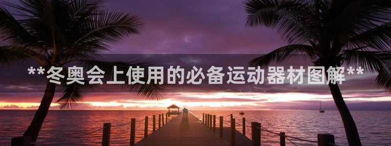 意昂3官网：**冬奥会上使用的必备运动器材图解**