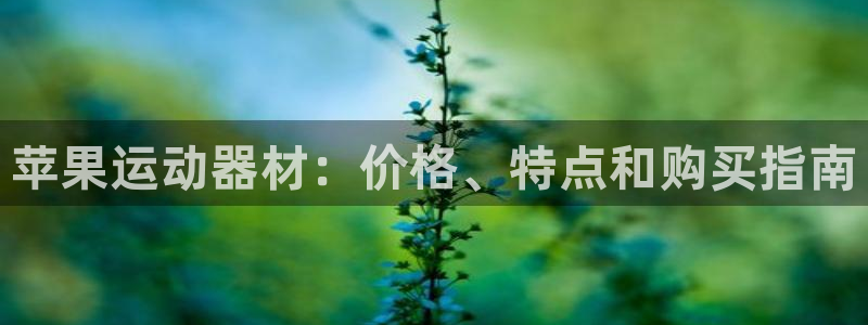意昂体育3注册：苹果运动器材：价格、特点和购买指南