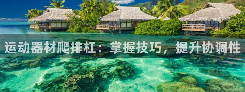 意昂体育3平台注册流程图：运动器材爬排杠：掌握技巧，