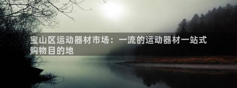 意昂体育3招商电话号码是多少：宝山区运动器材市场：一