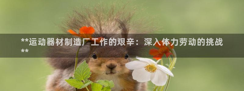 意昂3娱乐是那个系列的台子：**运动器材制造厂工作的