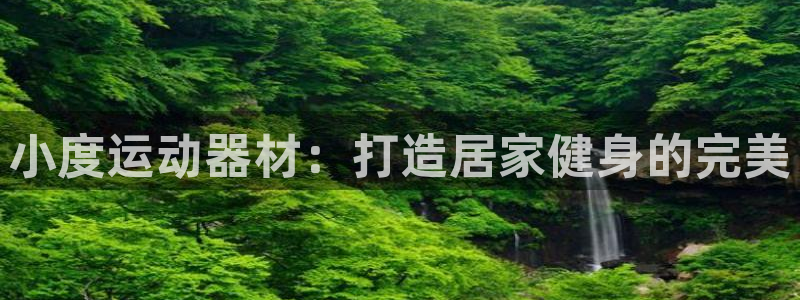 海南意昂体育3：小度运动器材：打造居家健身的完美