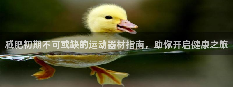意昂3娱乐代理怎么样：减肥初期不可或缺的运动器材指南