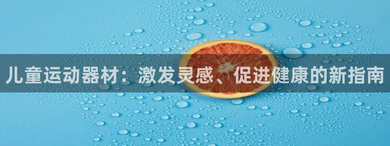 意昂体育3软件：儿童运动器材：激发灵感、促进健康的新