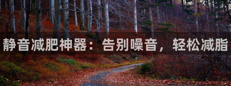 意昂体育3：静音减肥神器：告别噪音，轻松减脂