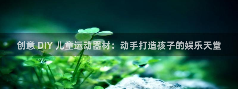 意昂平台体育：创意 DIY 儿童运动器材：动手打造孩