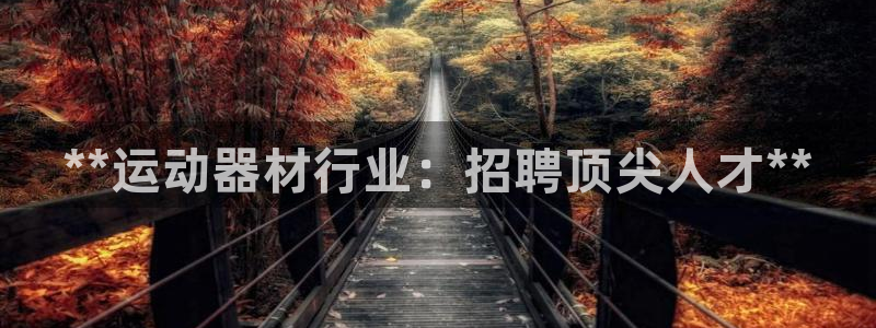 意昂3官方：**运动器材行业：招聘顶尖人才**