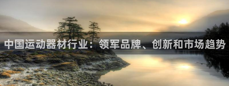 意昂3新能源：中国运动器材行业：领军品牌、创新和市场