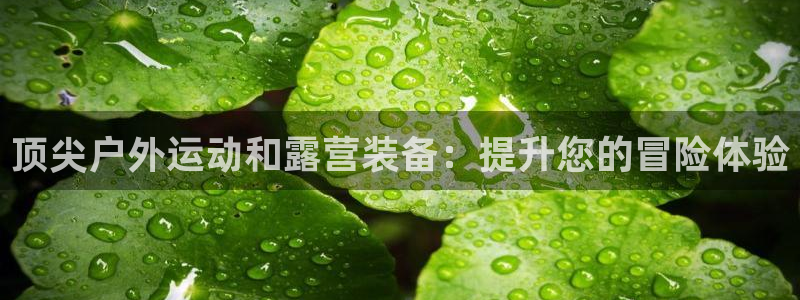 意昂体育3招商电话号码是多少：顶尖户外运动和露营装备