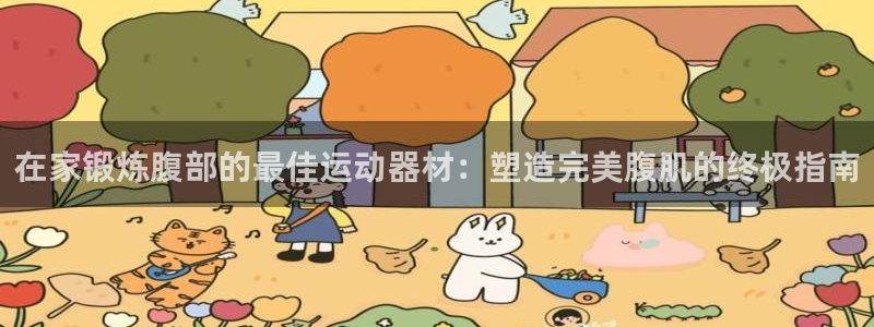 海南意昂体育3：在家锻炼腹部的最佳运动器材：塑造完美