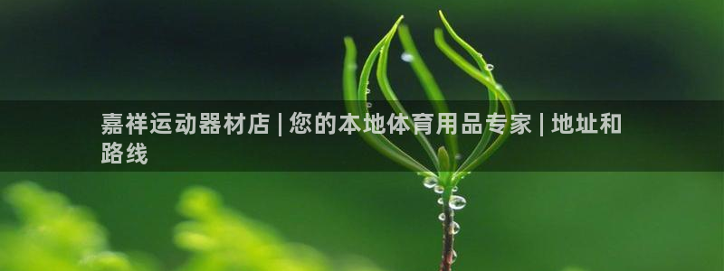 意昂体育3平台假的吗是真的吗：嘉祥运动器材店 | 您