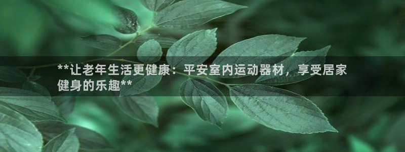 意昂3官网：**让老年生活更健康：平安室内运动器材，