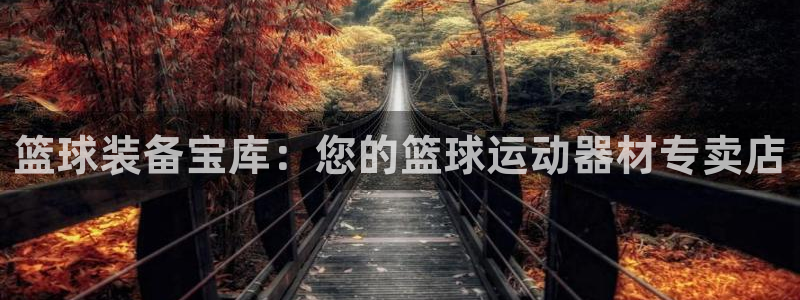 意昂体育3招商：篮球装备宝库：您的篮球运动器材专卖店