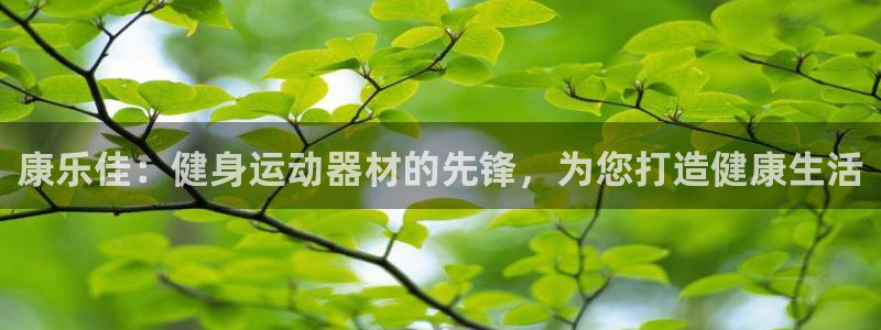 德国意昂3集团：康乐佳：健身运动器材的先锋，为您打造