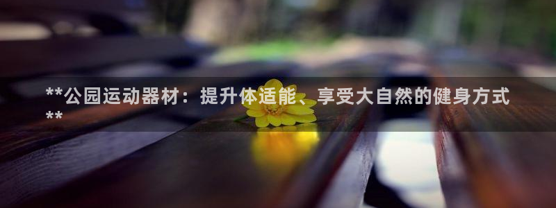 意昂体育3开户：**公园运动器材：提升体适能、享受大
