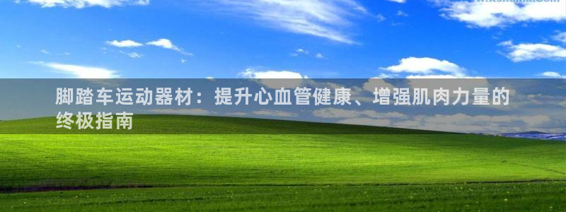 海南意昂体育3：脚踏车运动器材：提升心血管健康、增强