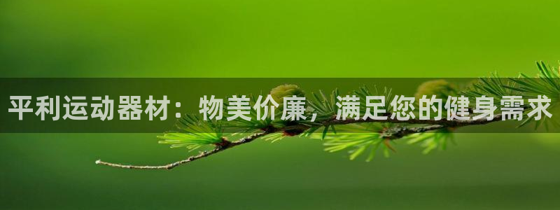 意昂3集团logo：平利运动器材：物美价廉，满足您的
