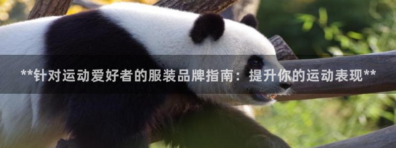 意昂体育3联系电话：**针对运动爱好者的服装品牌指南