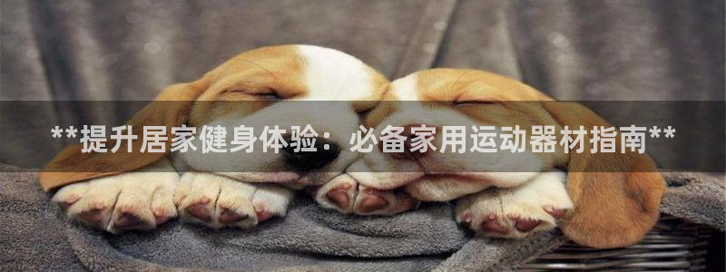 意昂体育3招商电话地址查询：**提升居家健身体验：必