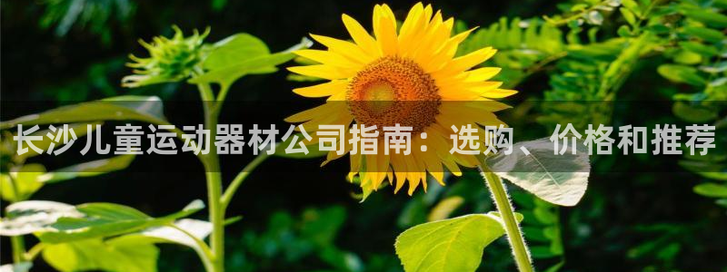 意昂体育3招商电话号码：长沙儿童运动器材公司指南：选