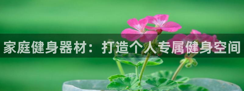 意昂体育3平台注册要钱吗：家庭健身器材：打造个人专属