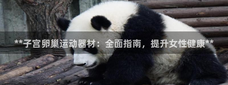 意昂体育3平台注册：**子宫卵巢运动器材：全面指南，