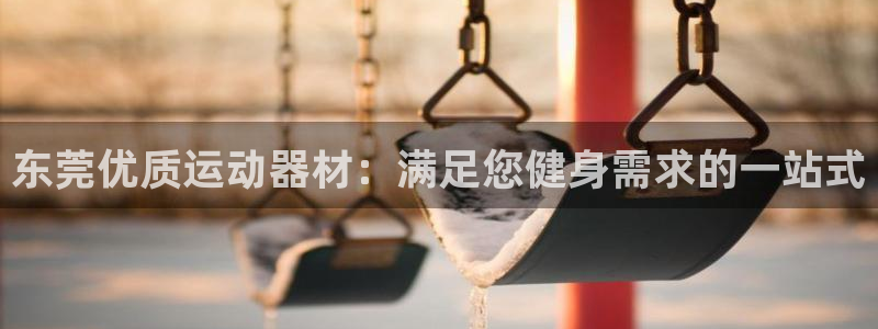 意昂体育3官方客服电话：东莞优质运动器材：满足您健身