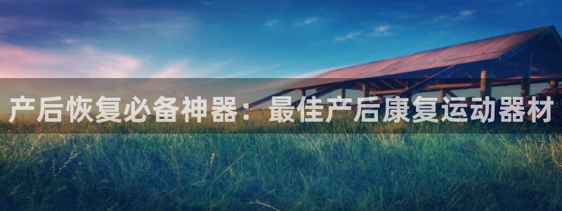 意昂3开户：产后恢复必备神器：最佳产后康复运动器材
