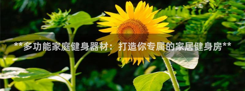 意昂体育3平台注册流程视频：**多功能家庭健身器材：