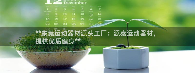 意昂3娱乐平台：**东莞运动器材源头工厂：源泰运动器