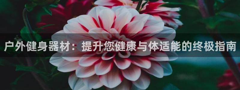 意昂体育3招商电话号码查询：户外健身器材：提升您健康