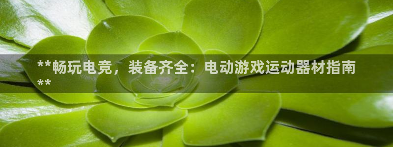 意昂体育3招商电话号码查询：**畅玩电竞，装备齐全：