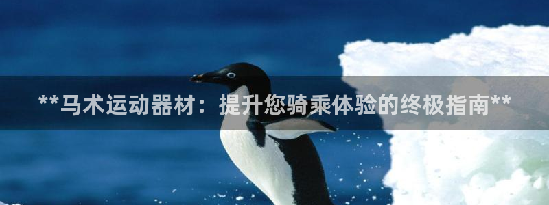 意昂3五金厂：**马术运动器材：提升您骑乘体验的终极
