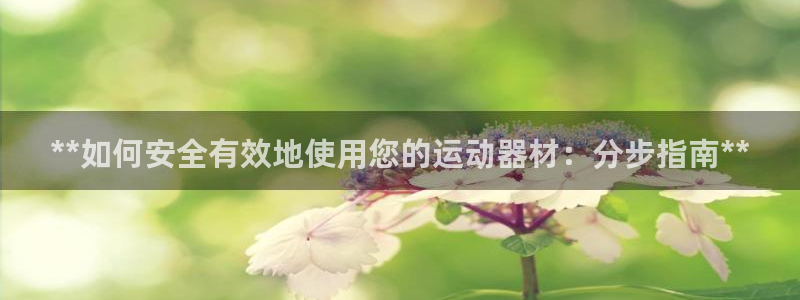 意昂体育3平台是正规平台吗：**如何安全有效地使用您