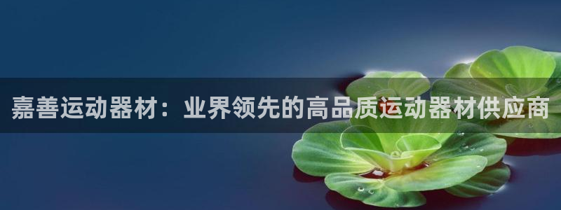 意昂体育3开户：嘉善运动器材：业界领先的高品质运动器