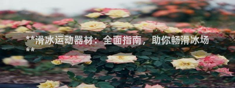 海南意昂体育3：**滑冰运动器材：全面指南，助你畅滑