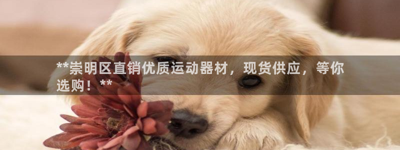 意昂体育3平台是正规平台吗：**崇明区直销优质运动器