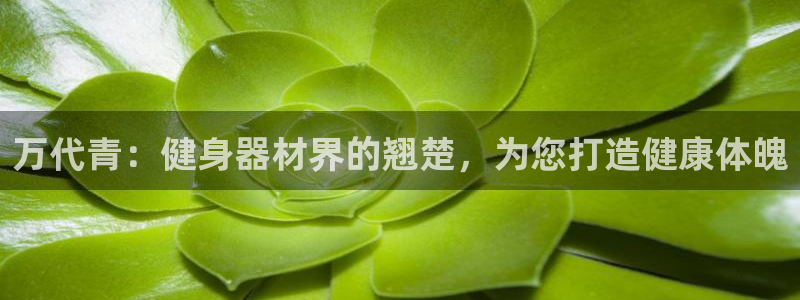 意昂体育3平台假的吗是真的吗：万代青：健身器材界的翘