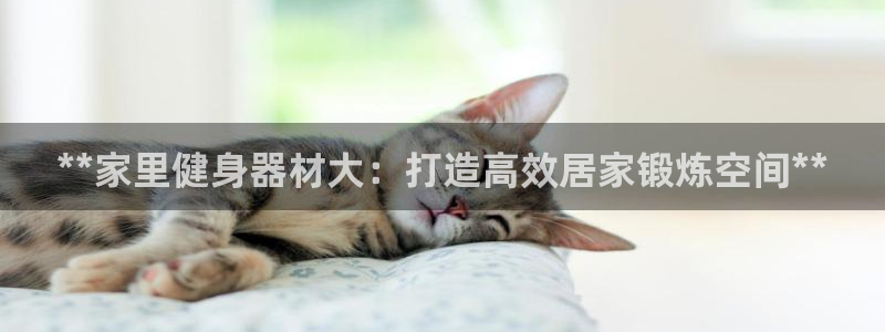 意昂3娱乐首页官网下载：**家里健身器材大：打造高效