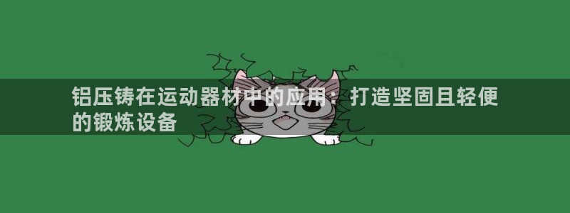 意昂体育3招商电话地址查询：铝压铸在运动器材中的应用