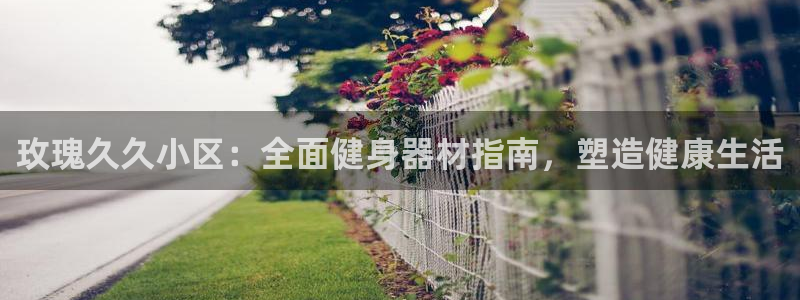意昂3娱乐40996：玫瑰久久小区：全面健身器材指南，塑造健