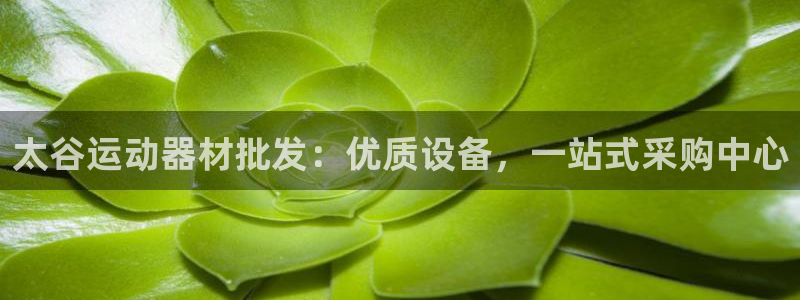 意昂3集团logo：太谷运动器材批发：优质设备，一站